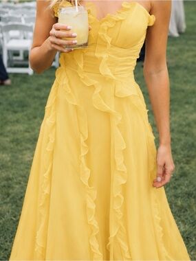 NWT! Hutch Yara Strapless Dress